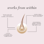 Diagram of a hair strand with text explaining how hair volume works from within.