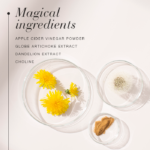 Magical ingredients of Apple Cider™ High Strength, including Apple cider vinegar powder, Dandelion extract and choline.