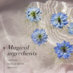 Magical ingredients of Cellufit Action™ Anti-Cellulite Gel, including caffeine, nigella sativa and menthol.