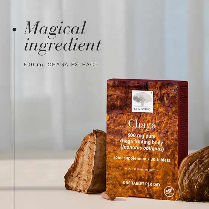 Magical ingredient of Chaga™ - 600 mg chaga extract.