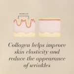 Diagram of skin with and without wrinkles displayed with text Collagen helps improve skin elasticity and reduce the appearance of wrinkles.