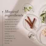 Magical ingredients of dida™, including oregano extract, olive leave extract and garlic.