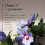 Magical ingredients of Gentle Face™ Exfoliator, including apricot, hibiscus flower extract, and rosemory.
