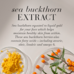 Benefits of sea buckthorn extract.