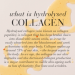 Benefits of hydrolysed collagen.