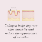 Diagram showing wrinkles in the skin with text Collagen helps improve skin elasticity and reduce the appearance of wrinkles.