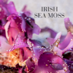 Close-up of Irish sea moss resting on a sandy beach.