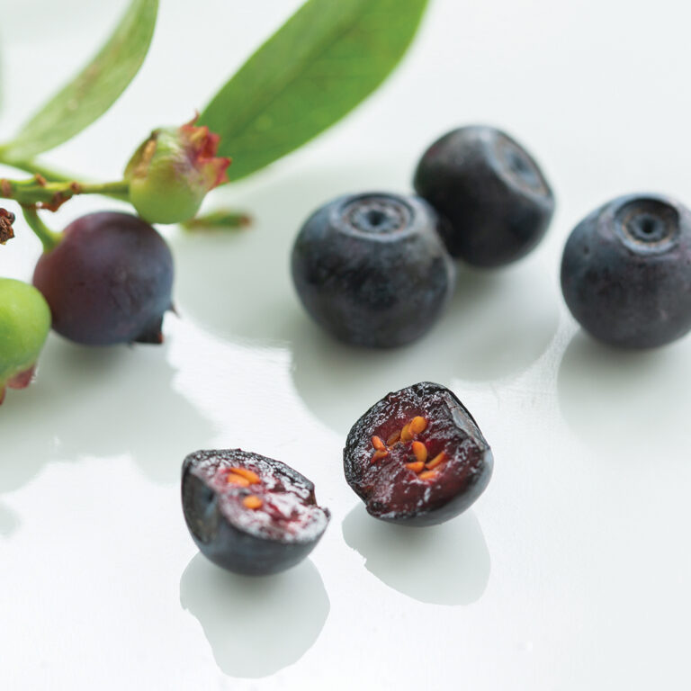 Fresh blueberries, some cut open.
