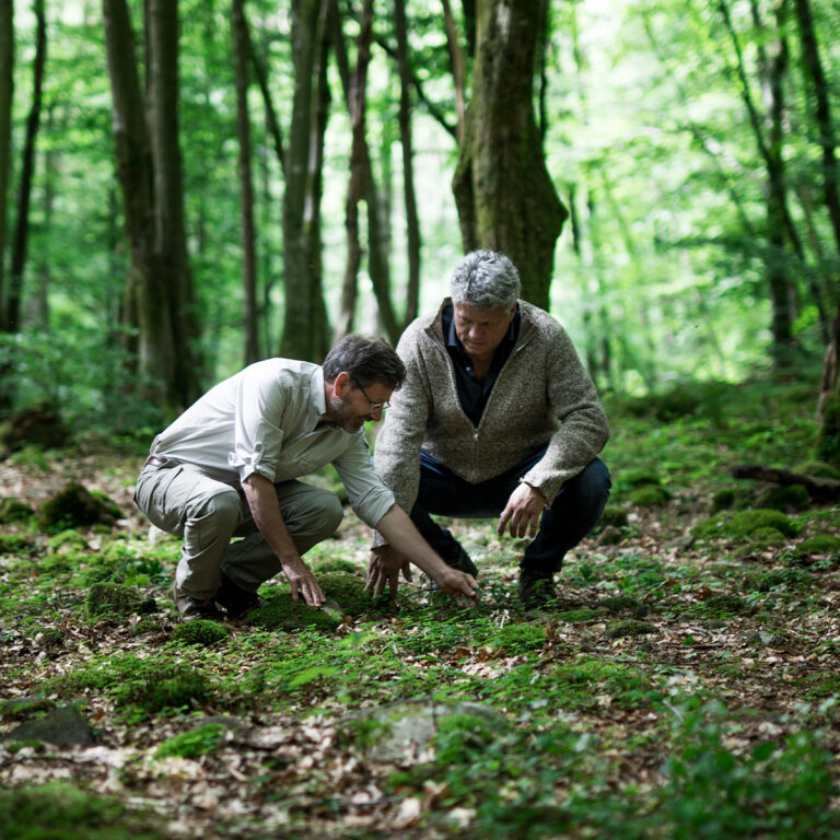 Two men sitting on the forest floor, surrounded by tall trees and lush greenery, taking a moment to explore and enjoy nature together.