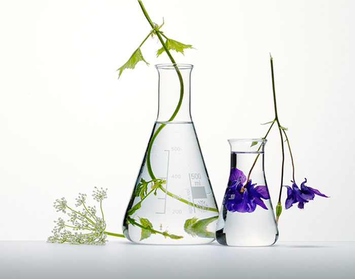 Flowers placed next to reagent glasses, suggesting a botanical or scientific setting.
