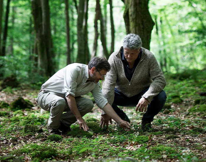 Two men examining the forest floor in lush green surroundings.