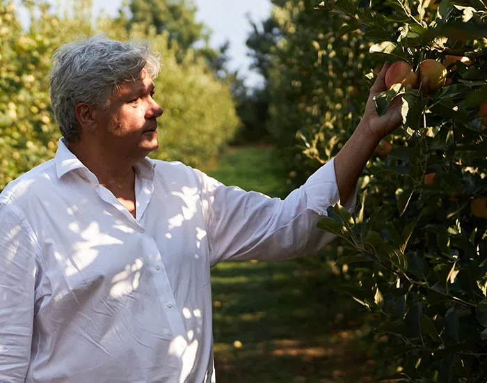 New Nordic CEO Karl Kristian picking apples outdoors.