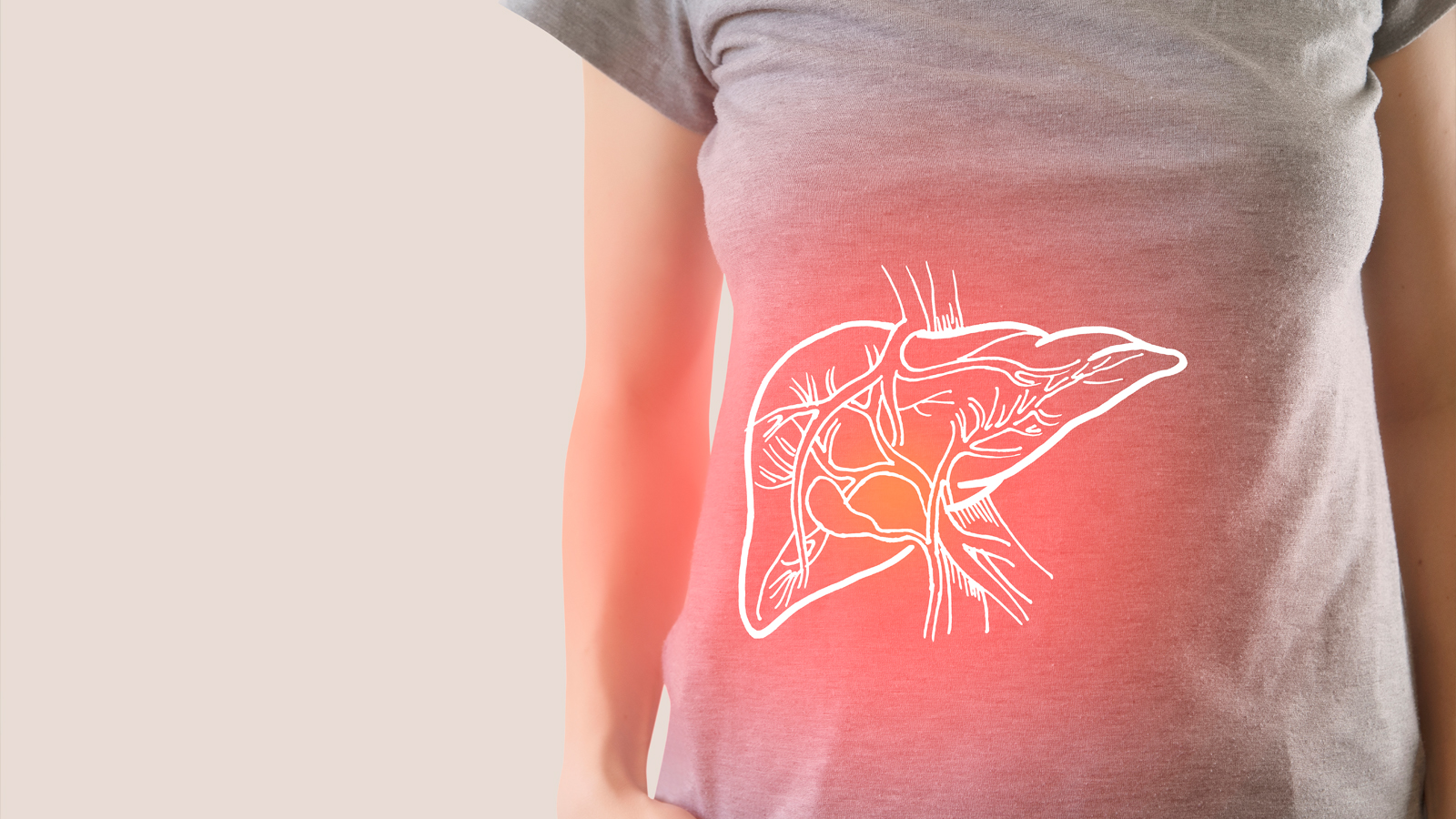 Global reach 14 Illustration of a liver over a woman’s body showing its position.