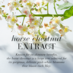 Benefits of the horse chestnut extract.