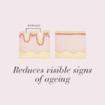 Diagram of skin showing wrinkles before and after, with text Reduces visible signs of ageing.