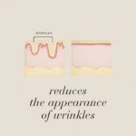 Diagram of skin showing wrinkles before and after, with text Reduces the appearance of wrinkles.
