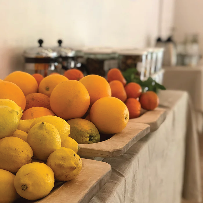 Herbal Schools 31 Various fruits displayed together, showing different colors, shapes, and types.