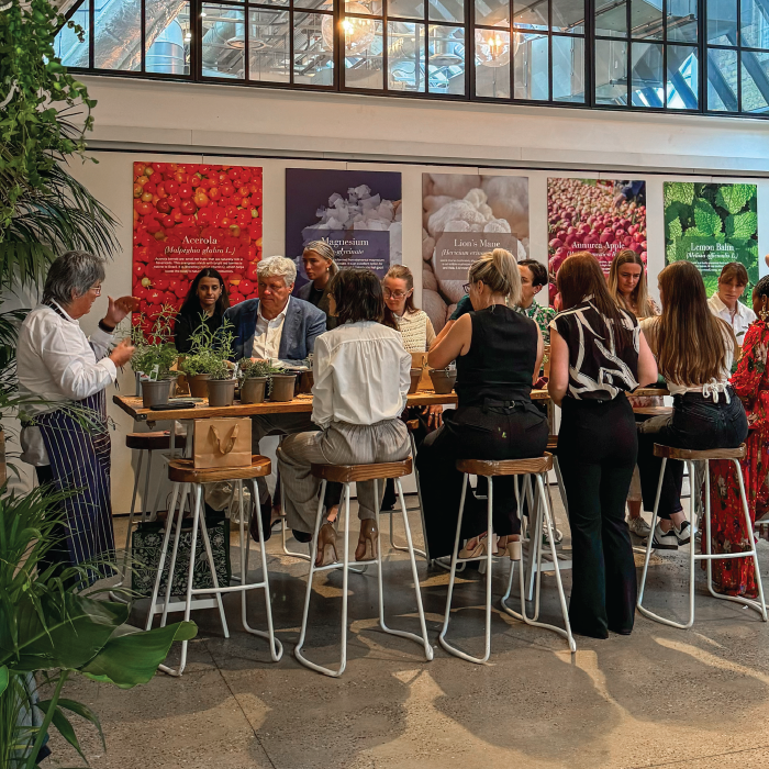 Herbal Schools 10 New Nordic herbal school event