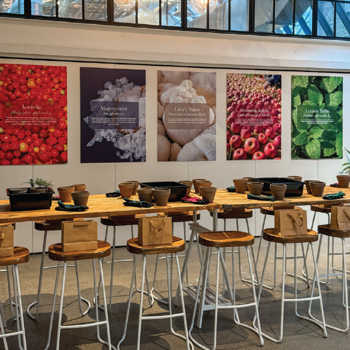 Herbal Schools 12 The New Nordic herbal school event