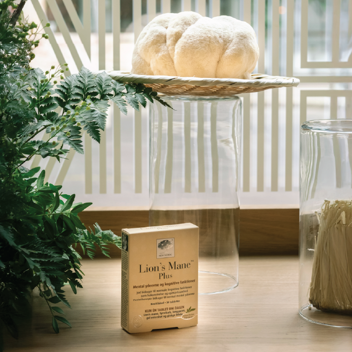 Herbal Schools 14 New Nordic Lion’s Mane Plus™ product displayed at the herbal school event.