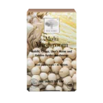 New Nordic Multi Mushroom™ tablets help maintain overall health with antioxidants from golden oyster, lion’s mane, reishi, and chaga mushrooms. Image of product.
