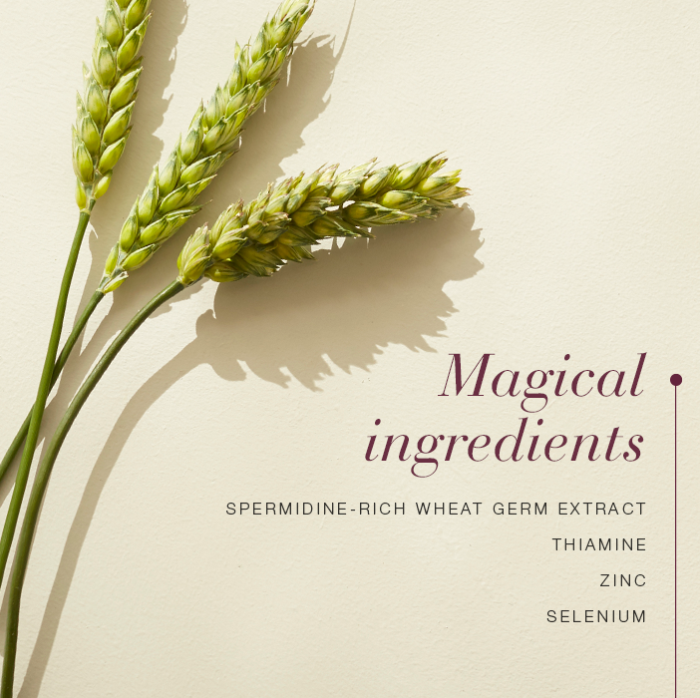 Magical ingredients of Longevity™ Spermidine.