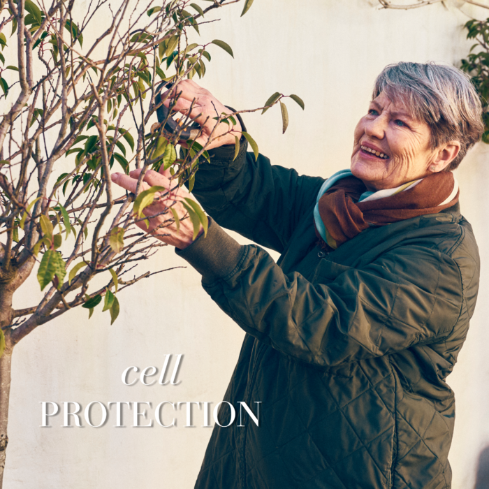 Older lady cutting a tree smiling