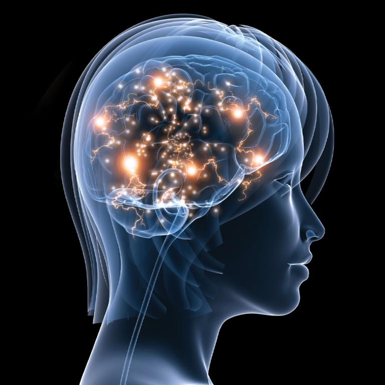 Scientific image of a human brain showing brain waves