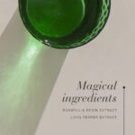 Magical ingredients of Boswellia™ - boswellia resin extract and long pepper extract.