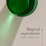 Magical ingredients of Boswellia™ - boswellia resin extract.