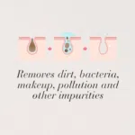 Illustration showing pore cleansing process removing dirt, bacteria and impurities.