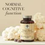 Lion's Mane Active Brain Gummies pack with mushrooms around it and text Normal Cognitive Function