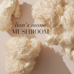 Close-up of fresh lion’s mane mushrooms with soft natural lighting and text reading Lion’s mane mushroom.