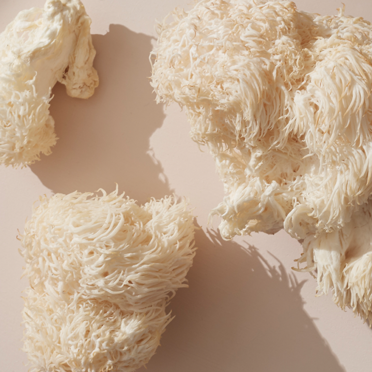 Lions Mane mushroom