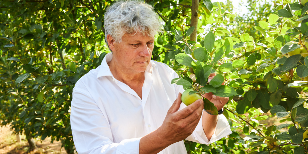The CEO of New Nordic, Karl Kristian, looking at an apple on a branch