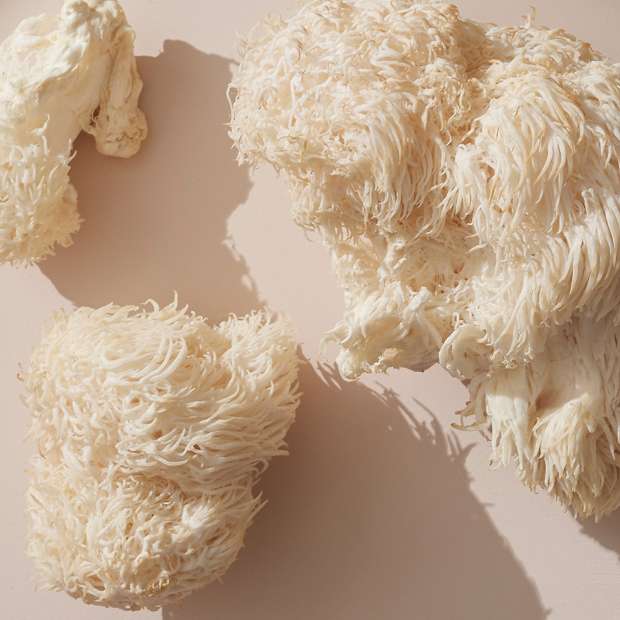 Ergothioneine The Powerful Antioxidant Supporting Healthy Ageing 2