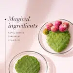 Magical ingredients highlighted: nopal cactus, chromium and vitamin B6, shown with cactus pads and cactus fruit.