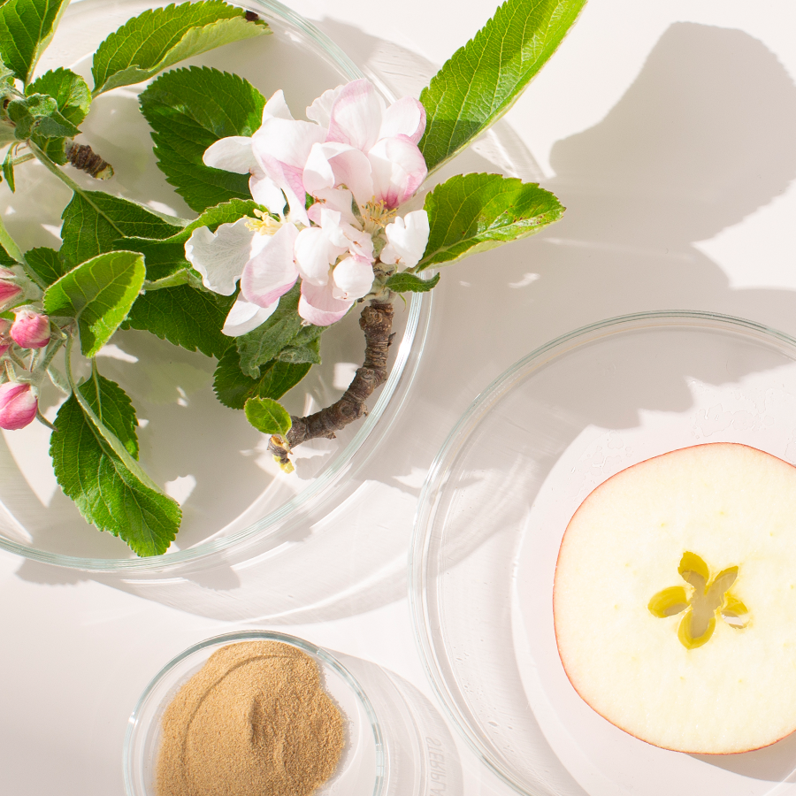 What Are the Scientifically Backed Ingredients Vitamins for Womens Hair Growth 2