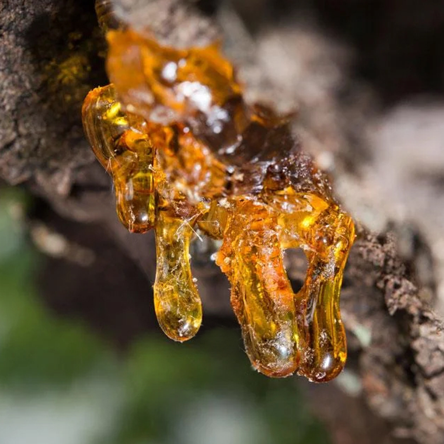 What is Boswellia and is it good for joint health 2