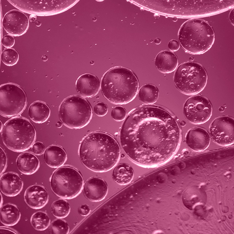 Image of cells under a microscope